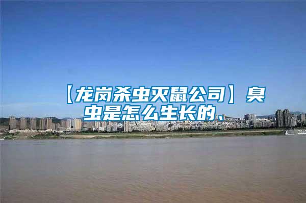【龍崗殺蟲滅鼠公司】臭蟲是怎么生長的、