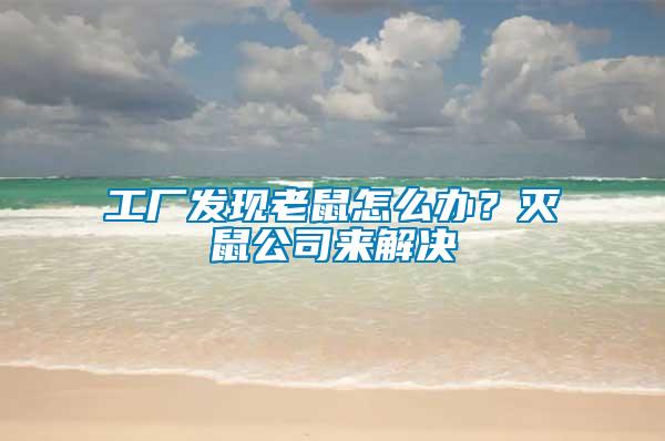 工廠發現老鼠怎么辦？滅鼠公司來解決