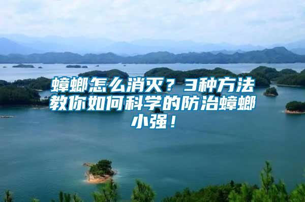 蟑螂怎么消滅？3種方法教你如何科學的防治蟑螂小強！
