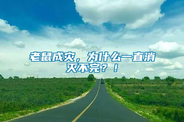 老鼠成災，為什么一直消滅不完？！