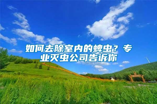 如何去除室內的蜱蟲？專業滅蟲公司告訴你