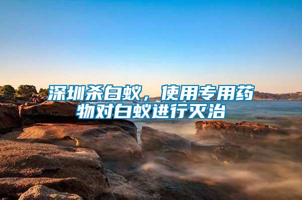 深圳殺白蟻，使用專用藥物對白蟻進行滅治