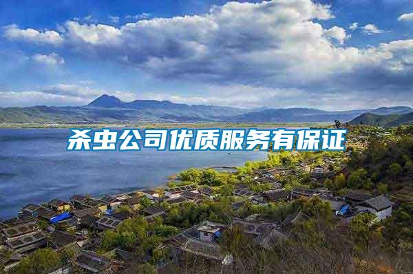 殺蟲公司優質服務有保證