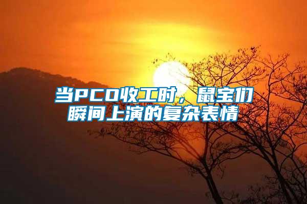 當(dāng)PCO收工時(shí)，鼠寶們瞬間上演的復(fù)雜表情