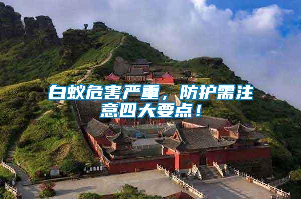 白蟻危害嚴重，防護需注意四大要點！