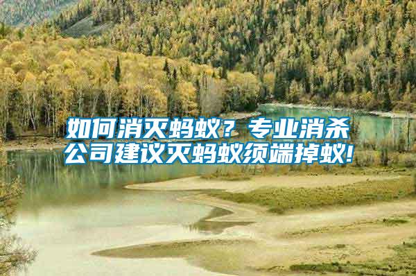 如何消滅螞蟻？專業(yè)消殺公司建議滅螞蟻須端掉蟻!
