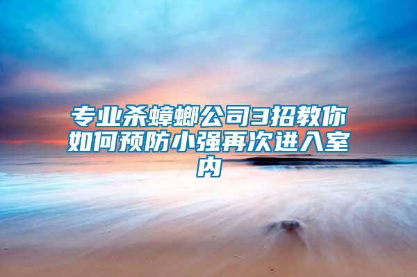 專業殺蟑螂公司3招教你如何預防小強再次進入室內