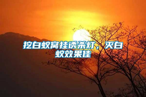 挖白蟻窩掛誘殺燈，滅白蟻效果佳