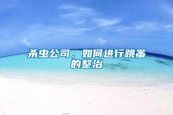 殺蟲公司，如何進行跳蚤的整治