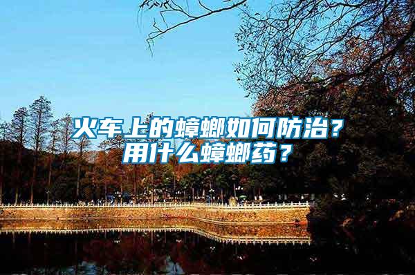 火車上的蟑螂如何防治？用什么蟑螂藥？