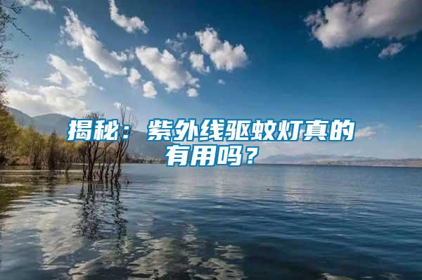 揭秘：紫外線驅蚊燈真的有用嗎？