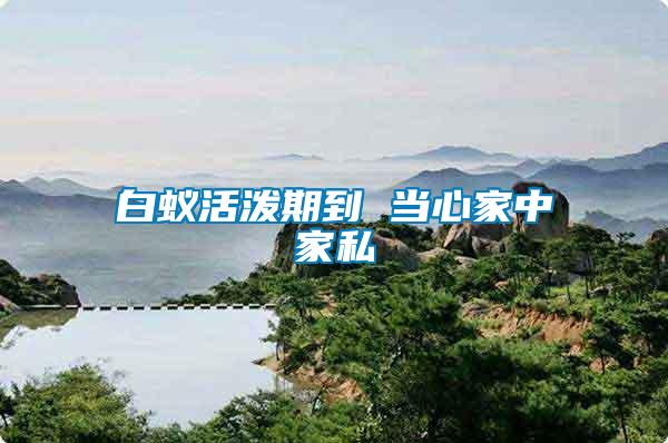 白蟻活潑期到 當心家中家私