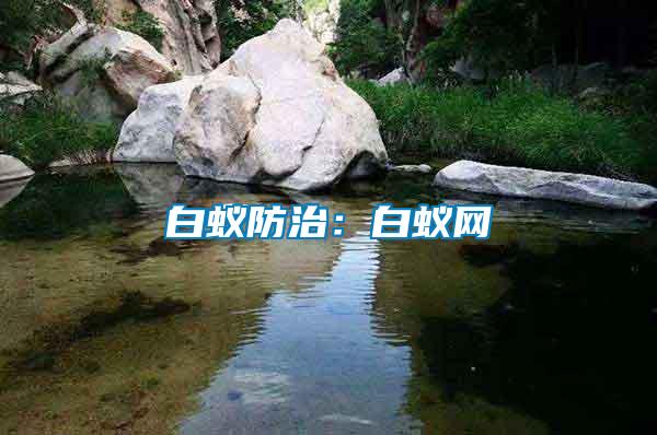 白蟻防治：白蟻網