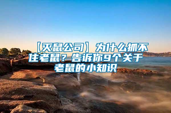 【滅鼠公司】為什么抓不住老鼠？告訴你9個關于老鼠的小知識