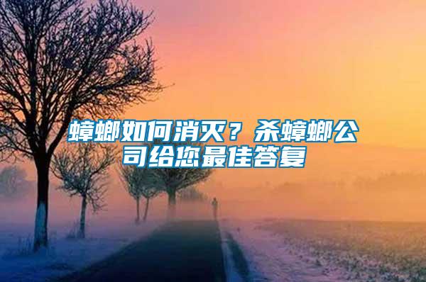 蟑螂如何消滅？殺蟑螂公司給您最佳答復