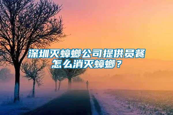 深圳滅蟑螂公司提供員餐怎么消滅蟑螂？