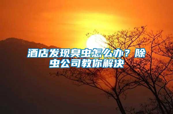 酒店發現臭蟲怎么辦？除蟲公司教你解決