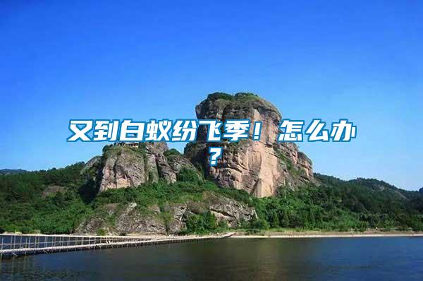 又到白蟻紛飛季！怎么辦？
