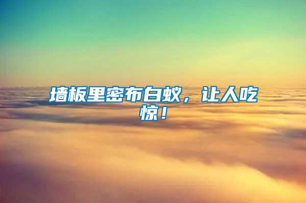 墻板里密布白蟻，讓人吃驚！