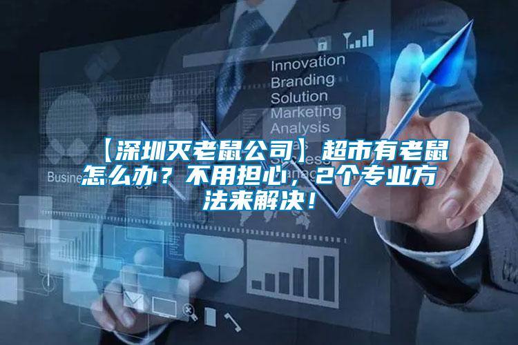 【深圳滅老鼠公司】超市有老鼠怎么辦？不用擔心，2個專業方法來解決！