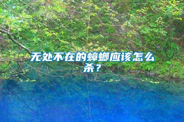 無處不在的蟑螂應(yīng)該怎么殺？