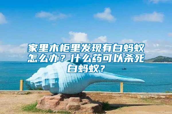 家里木柜里發現有白螞蟻怎么辦？什么藥可以殺死白螞蟻？