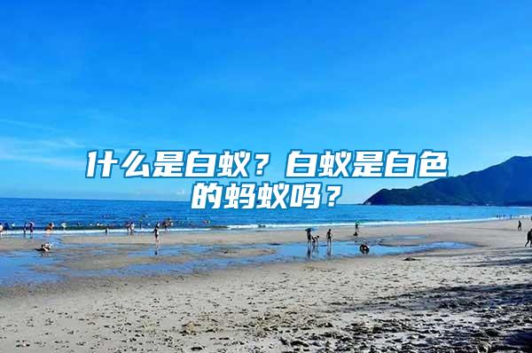 什么是白蟻？白蟻是白色的螞蟻嗎？