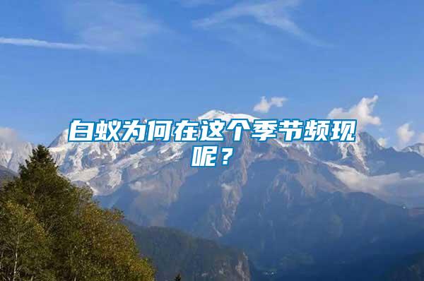 白蟻為何在這個季節頻現呢？