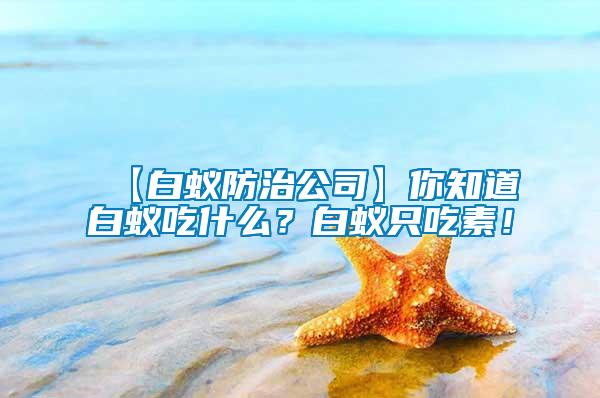【白蟻防治公司】你知道白蟻吃什么？白蟻只吃素！