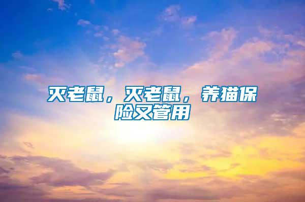 滅老鼠，滅老鼠，養貓保險又管用