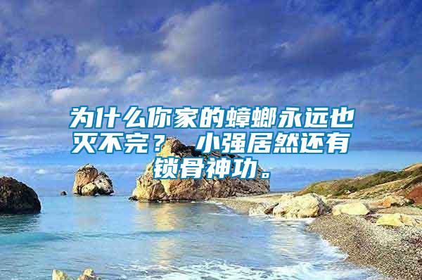 為什么你家的蟑螂永遠(yuǎn)也滅不完？ 小強(qiáng)居然還有鎖骨神功。