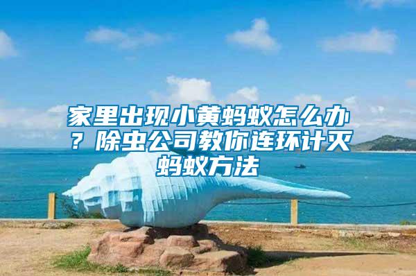 家里出現(xiàn)小黃螞蟻怎么辦？除蟲公司教你連環(huán)計(jì)滅螞蟻方法