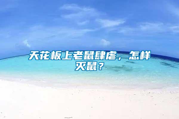 天花板上老鼠肆虐，怎樣滅鼠？