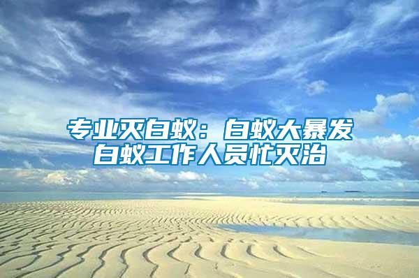 專業滅白蟻：白蟻大暴發白蟻工作人員忙滅治