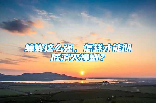 蟑螂這么強，怎樣才能徹底消滅蟑螂？