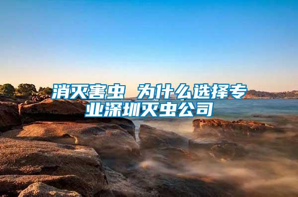 消滅害蟲 為什么選擇專業深圳滅蟲公司