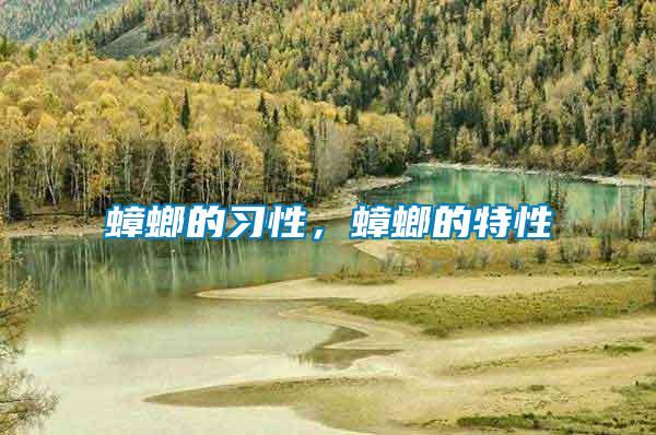 蟑螂的習性，蟑螂的特性