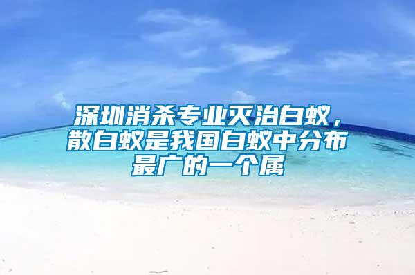 深圳消殺專業滅治白蟻，散白蟻是我國白蟻中分布最廣的一個屬