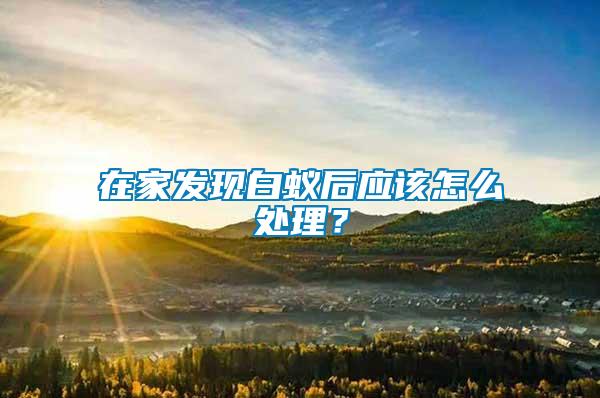 在家發現白蟻后應該怎么處理？