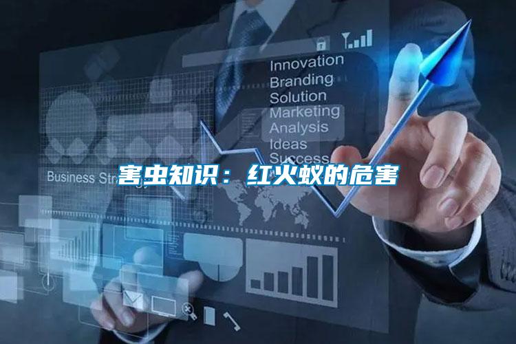 害蟲知識(shí)：紅火蟻的危害