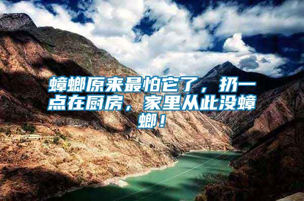 蟑螂原來最怕它了，扔一點在廚房，家里從此沒蟑螂！