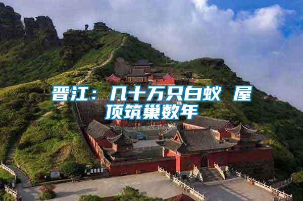 晉江：幾十萬只白蟻 屋頂筑巢數年