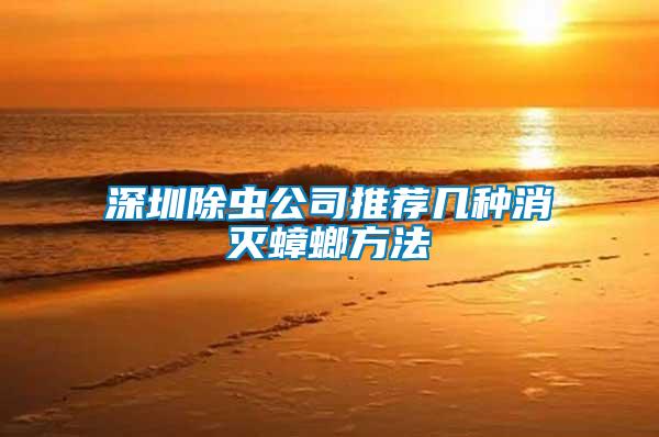 深圳除蟲(chóng)公司推薦幾種消滅蟑螂方法