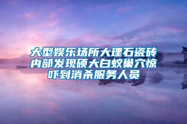 大型娛樂場(chǎng)所大理石瓷磚內(nèi)部發(fā)現(xiàn)碩大白蟻巢穴驚嚇到消殺服務(wù)人員