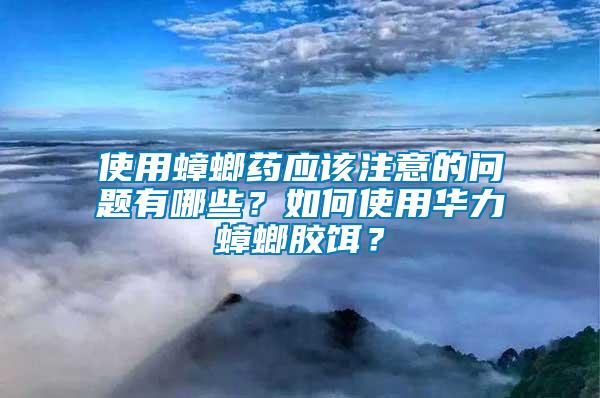 使用蟑螂藥應該注意的問題有哪些？如何使用華力蟑螂膠餌？