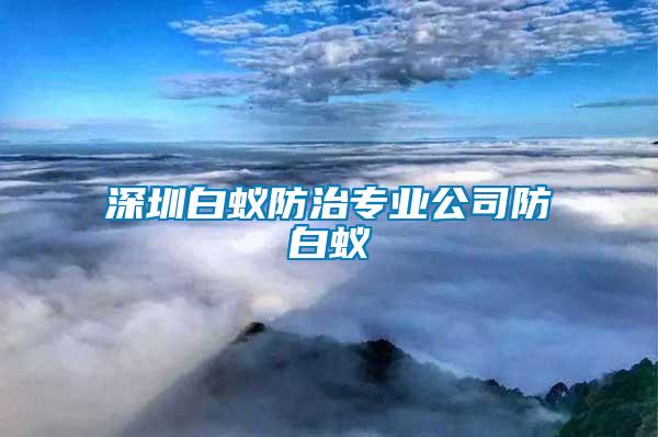 深圳白蟻防治專業公司防白蟻