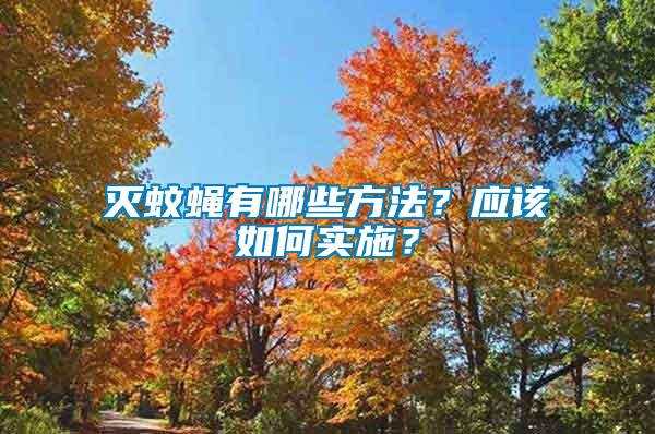 滅蚊蠅有哪些方法？應該如何實施？