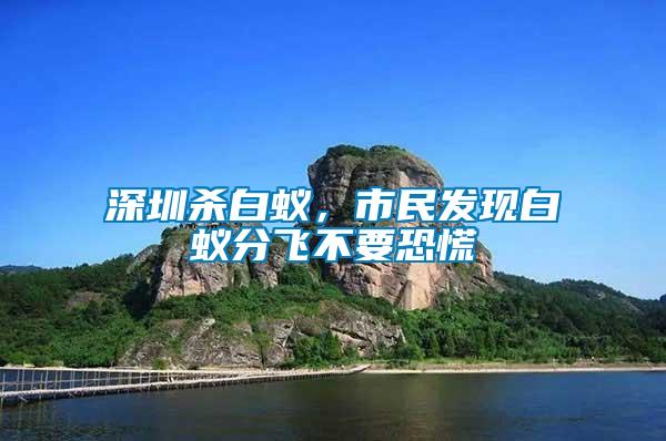 深圳殺白蟻，市民發現白蟻分飛不要恐慌