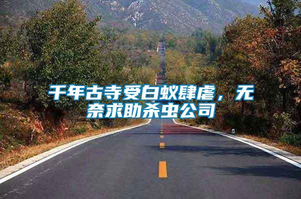 千年古寺受白蟻肆虐，無奈求助殺蟲公司