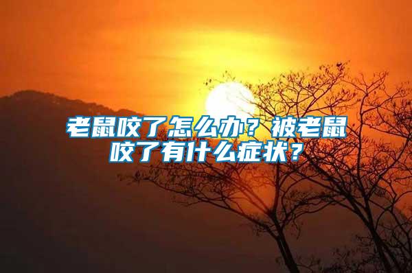 老鼠咬了怎么辦？被老鼠咬了有什么癥狀？